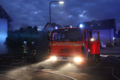 Feuerwehrübung 2014